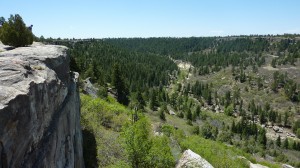 Looking down into the canyon. You can see a little line that is the Creek Bottom trail.